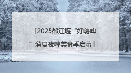 2025都江堰“好嗨啤”消夏夜啤美食季启幕