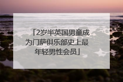 2岁半英国男童成为门萨俱乐部史上最年轻男性会员