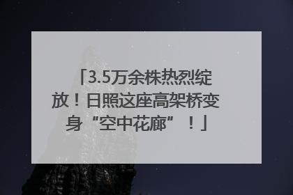 3.5万余株热烈绽放！日照这座高架桥变身“空中花廊”！