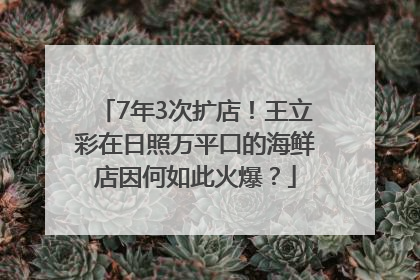 7年3次扩店！王立彩在日照万平口的海鲜店因何如此火爆？