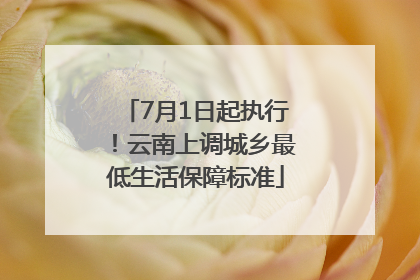7月1日起执行！云南上调城乡最低生活保障标准