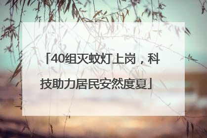 40组灭蚊灯上岗，科技助力居民安然度夏