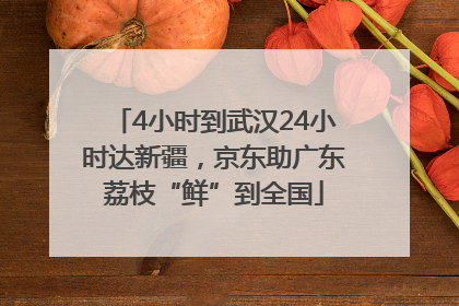 4小时到武汉24小时达新疆，京东助广东荔枝“鲜”到全国