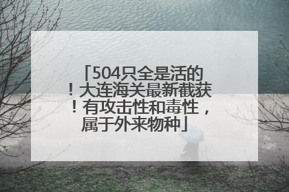 504只全是活的！大连海关最新截获！有攻击性和毒性，属于外来物种