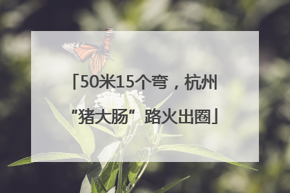 50米15个弯，杭州“猪大肠”路火出圈