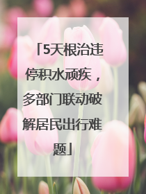 5天根治违停积水顽疾，多部门联动破解居民出行难题