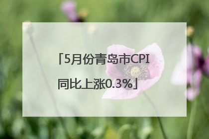 5月份青岛市CPI同比上涨0.3%