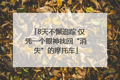 8天不懈追踪 仅凭一个眼神找回“消失”的摩托车