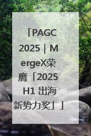 PAGC 2025｜MergeX荣膺「2025 H1 出海新势力奖」